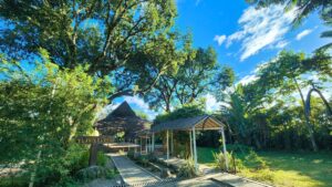 YLANG YLANG VENUE