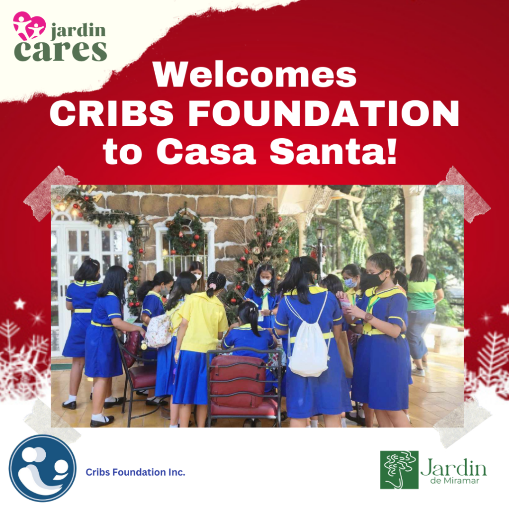 CRIBS FOUNDATION 1
