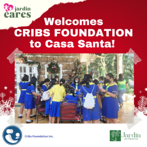 CRIBS FOUNDATION 8